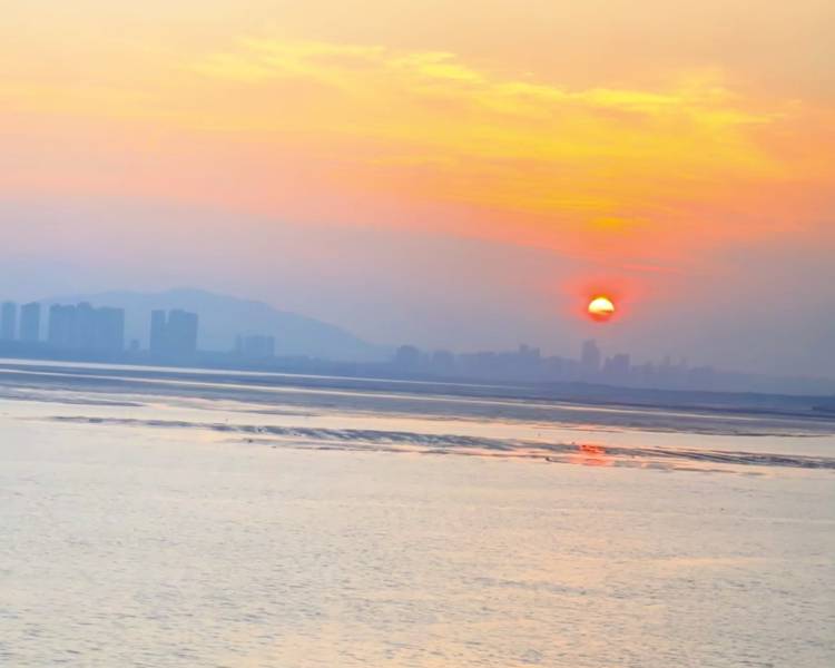 艺人背景图