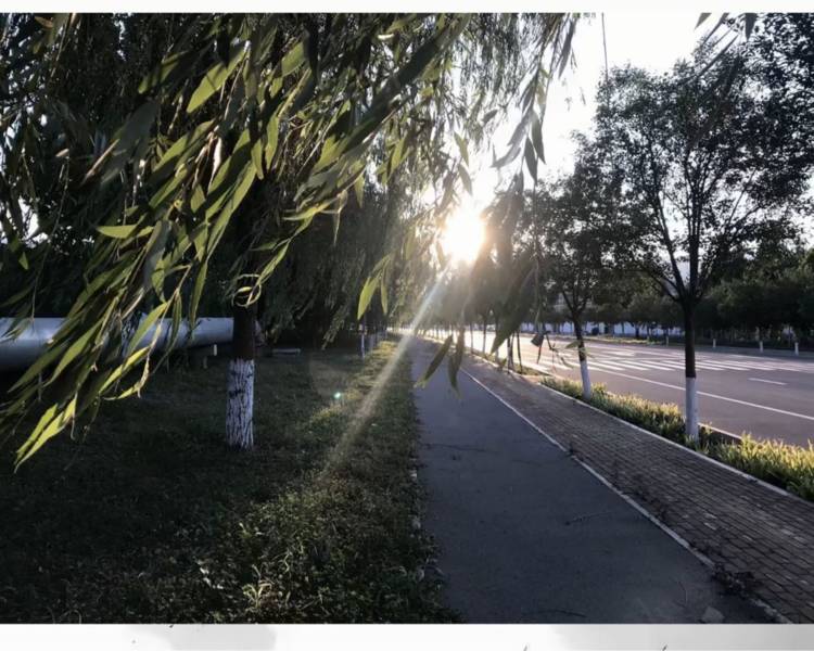 艺人背景图