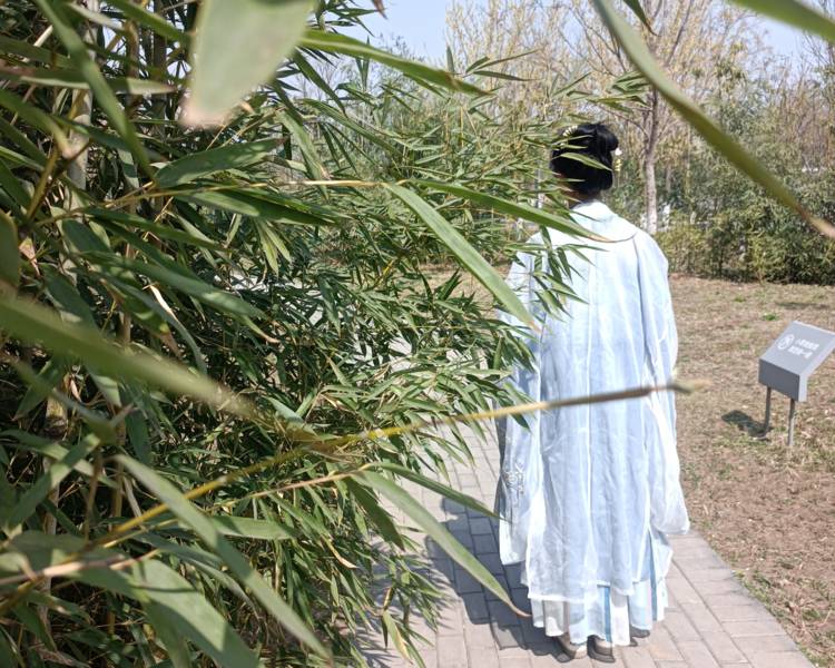 艺人背景图