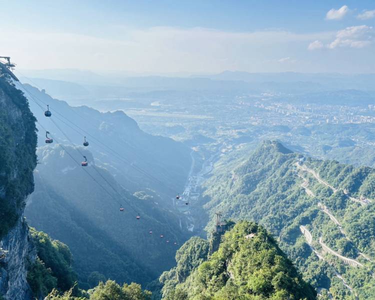 艺人背景图