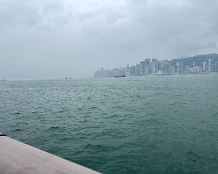 艺人背景图