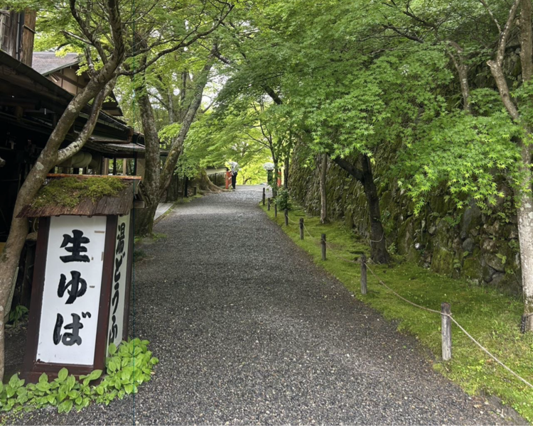 艺人背景图