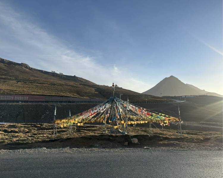 艺人背景图