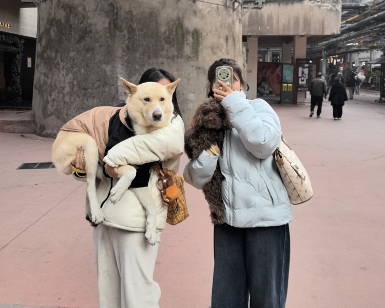 艺人背景图