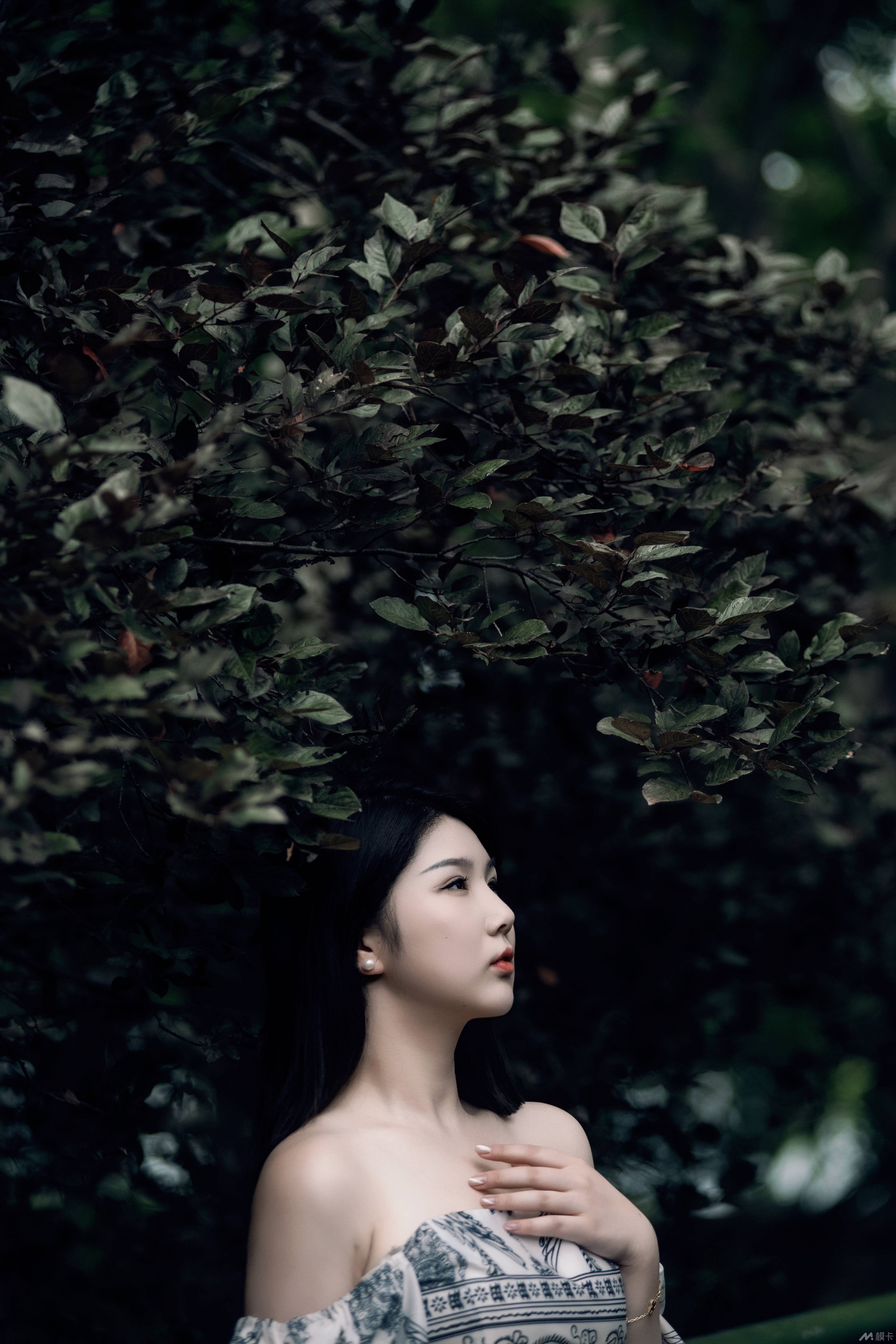 作品图片