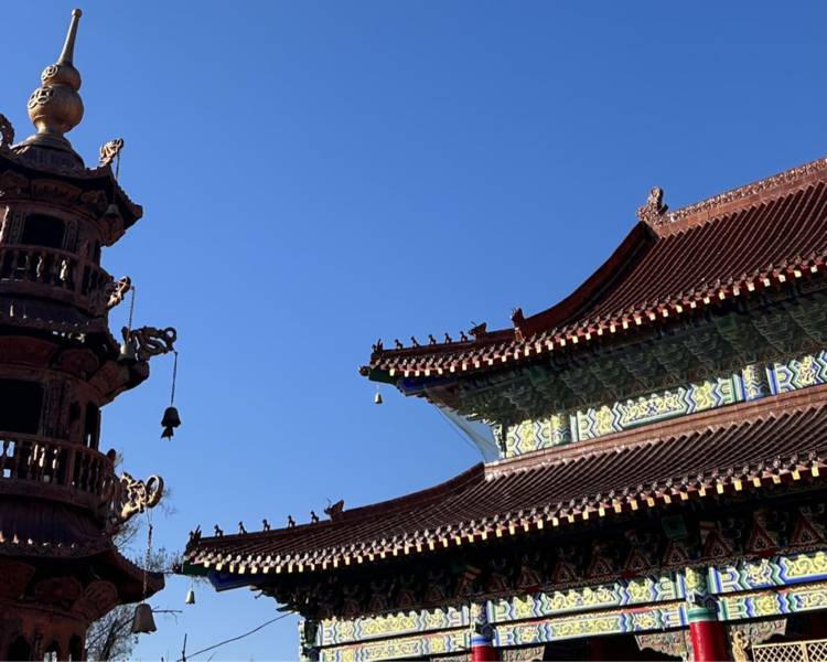 艺人背景图
