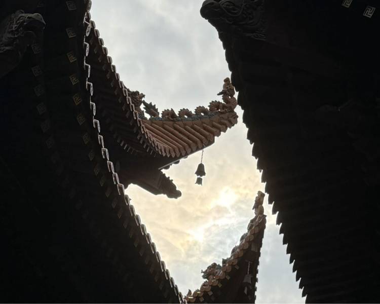 艺人背景图