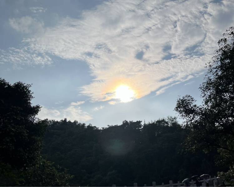 艺人背景图