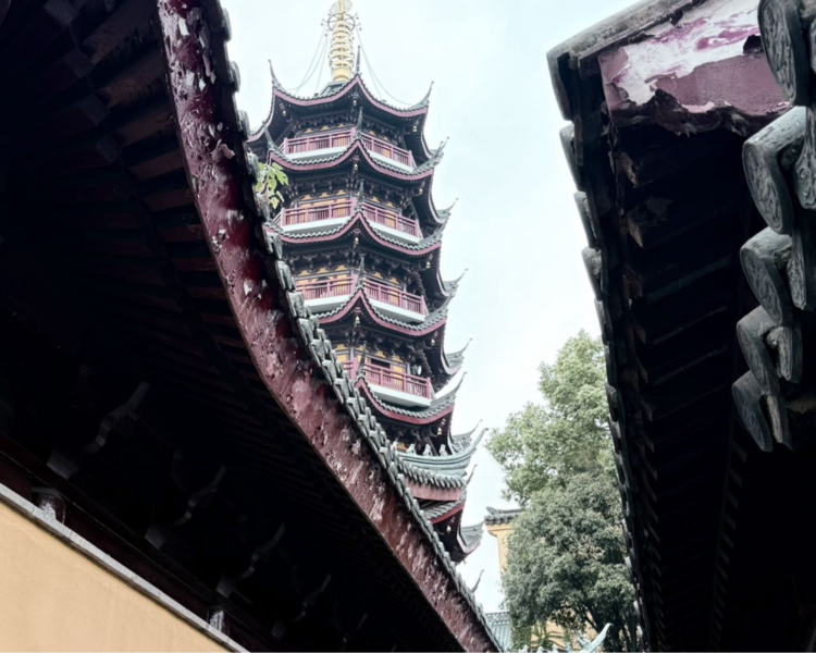 艺人背景图