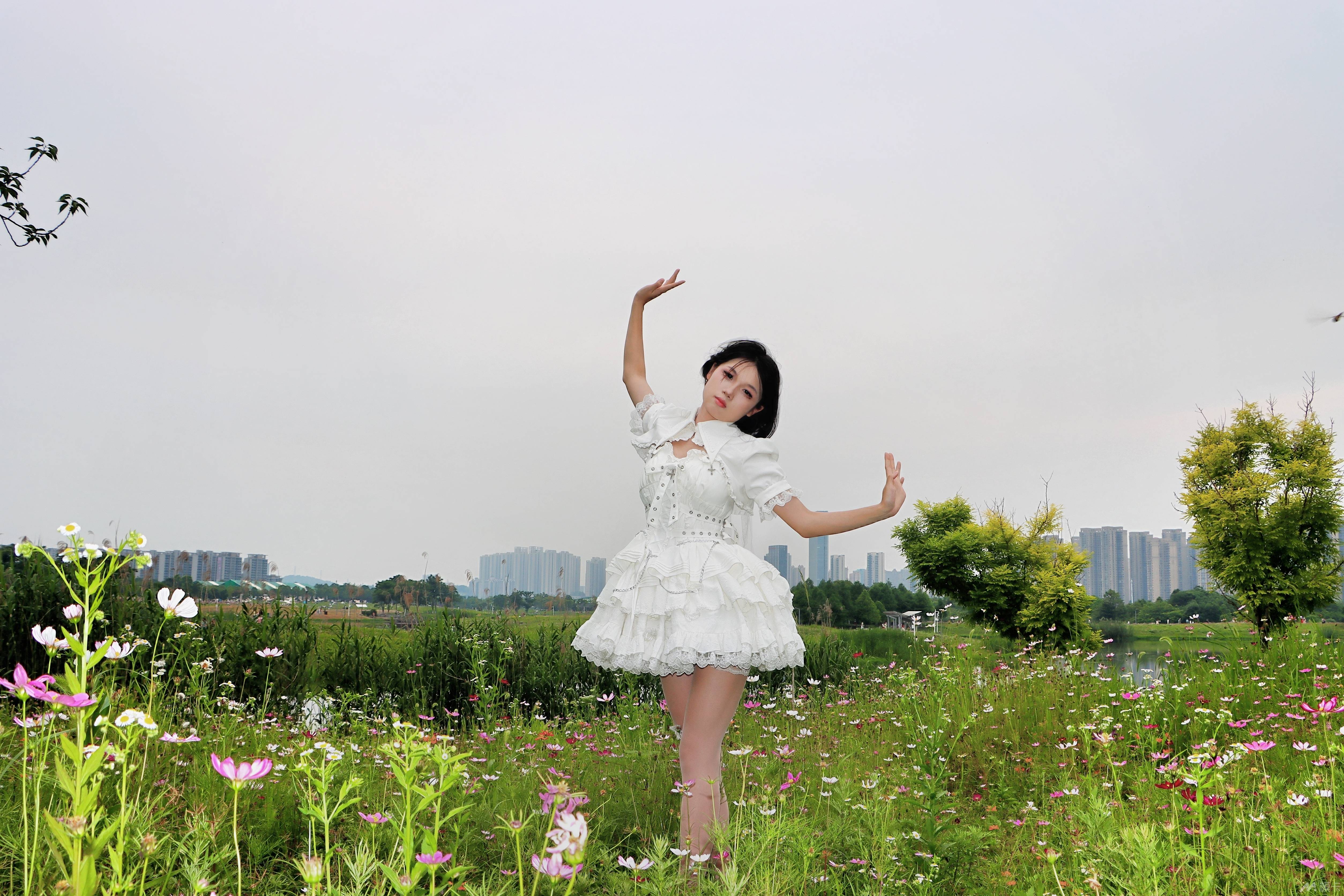 作品图片