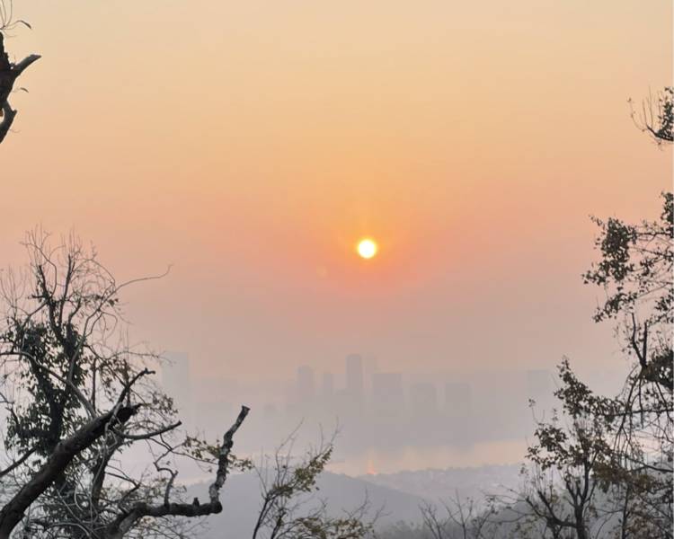 艺人背景图