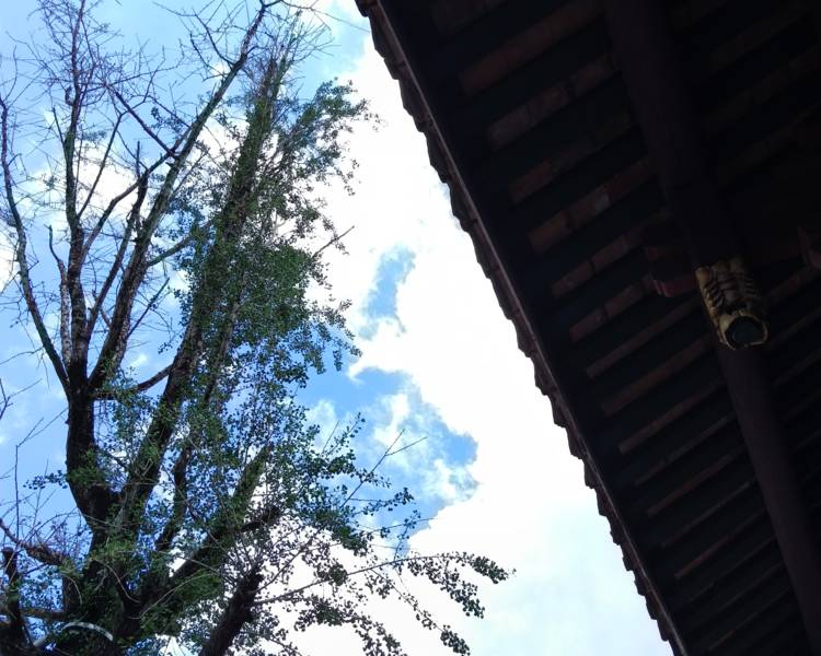 艺人背景图