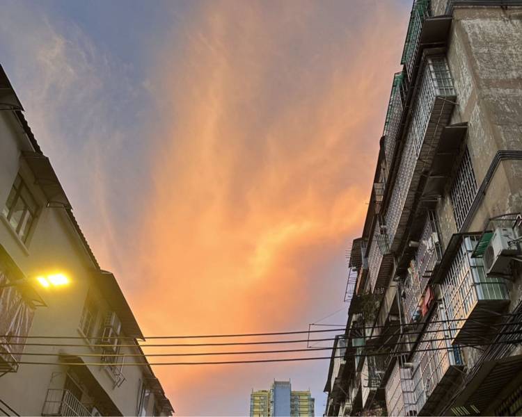 艺人背景图