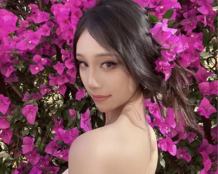 艺人背景图