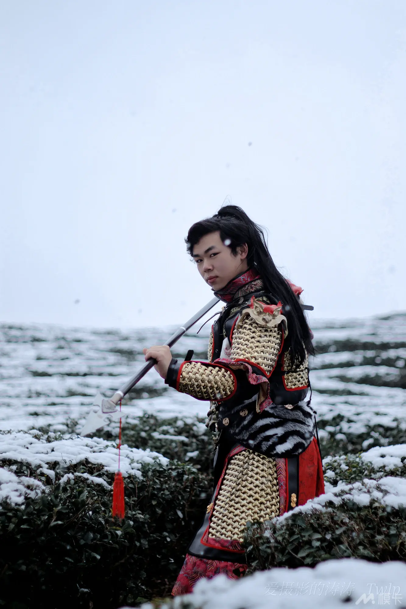 作品图片