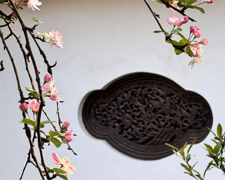 艺人背景图