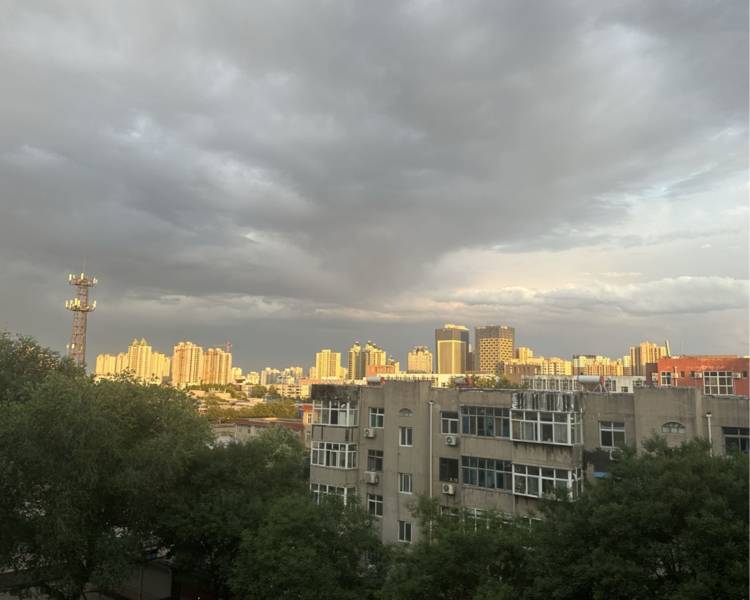 艺人背景图