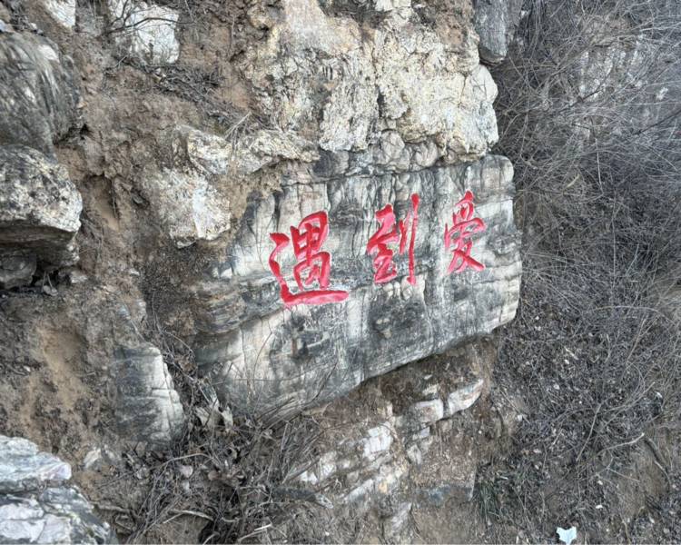 艺人背景图