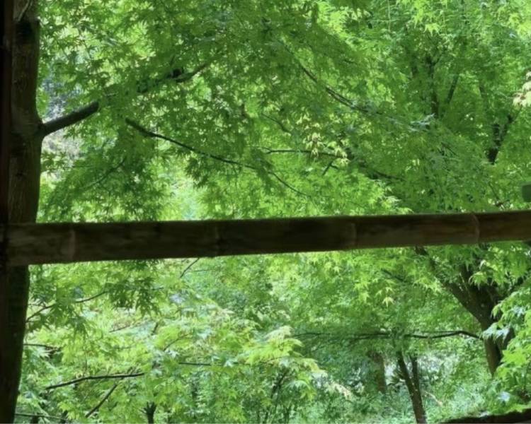 艺人背景图