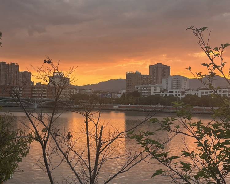 艺人背景图