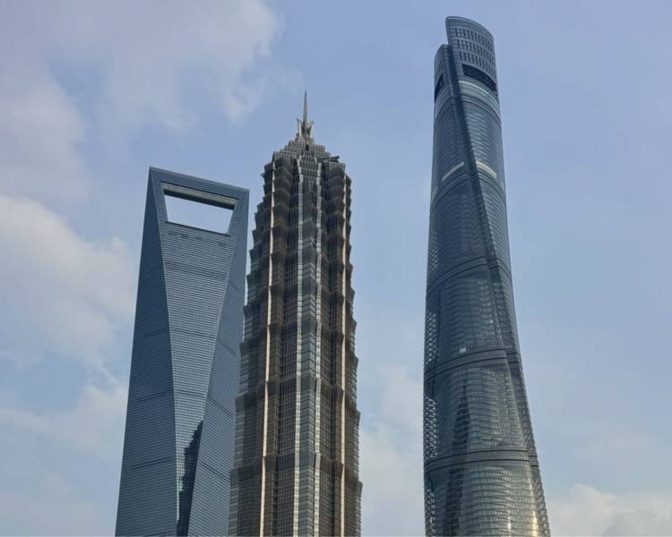 艺人背景图