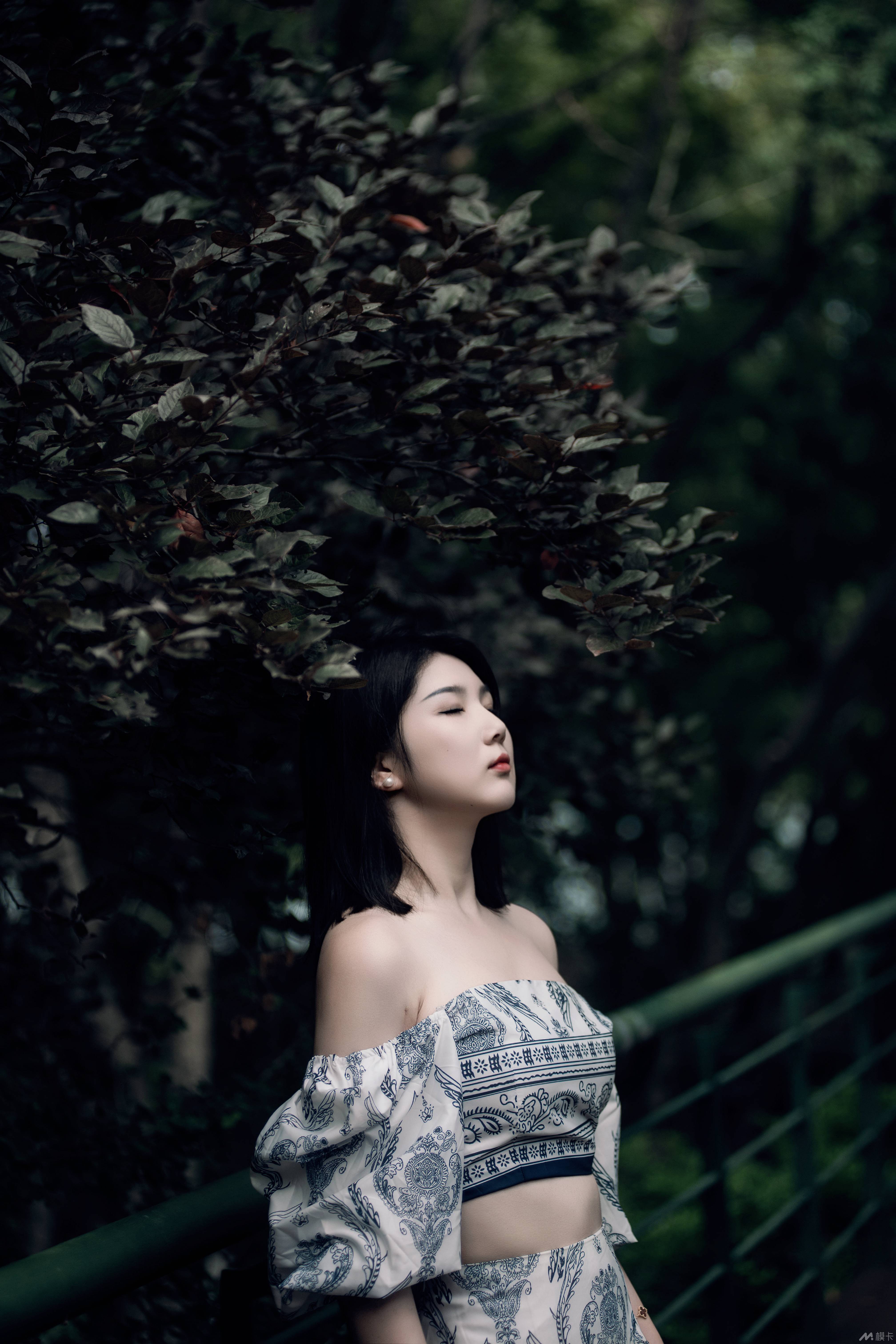 作品图片