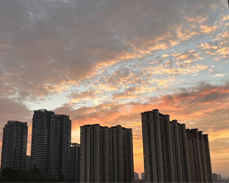 艺人背景图