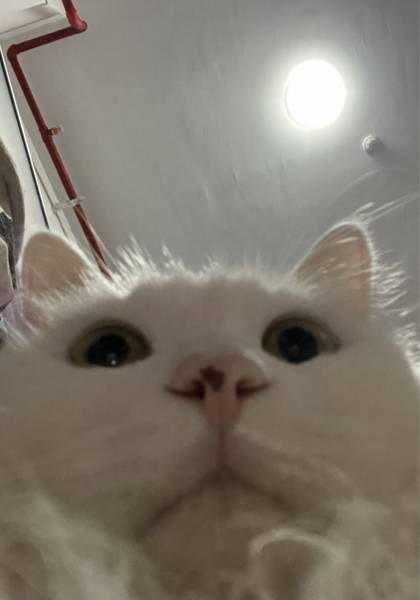 推荐艺人