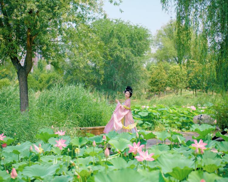 艺人背景图