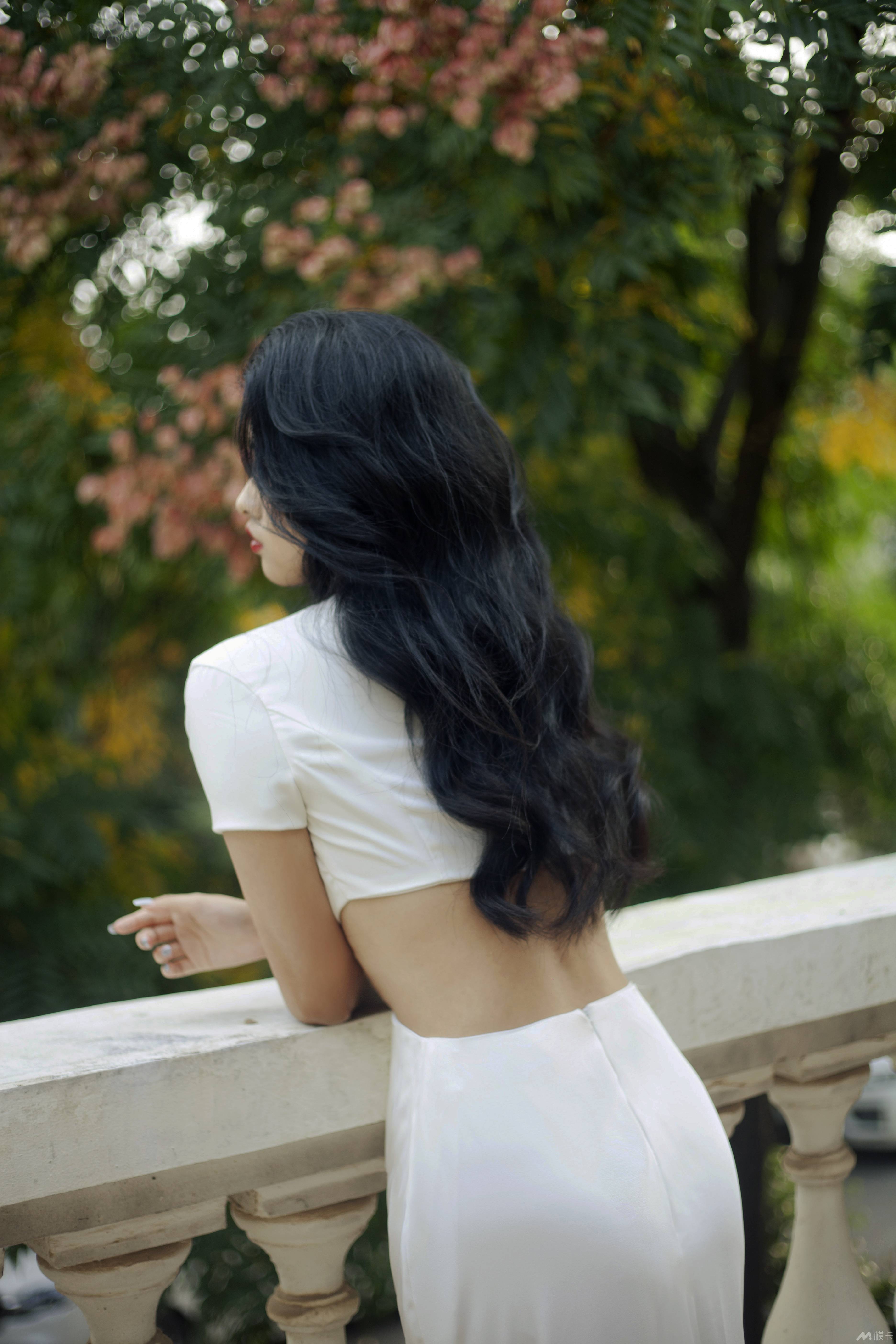 作品图片