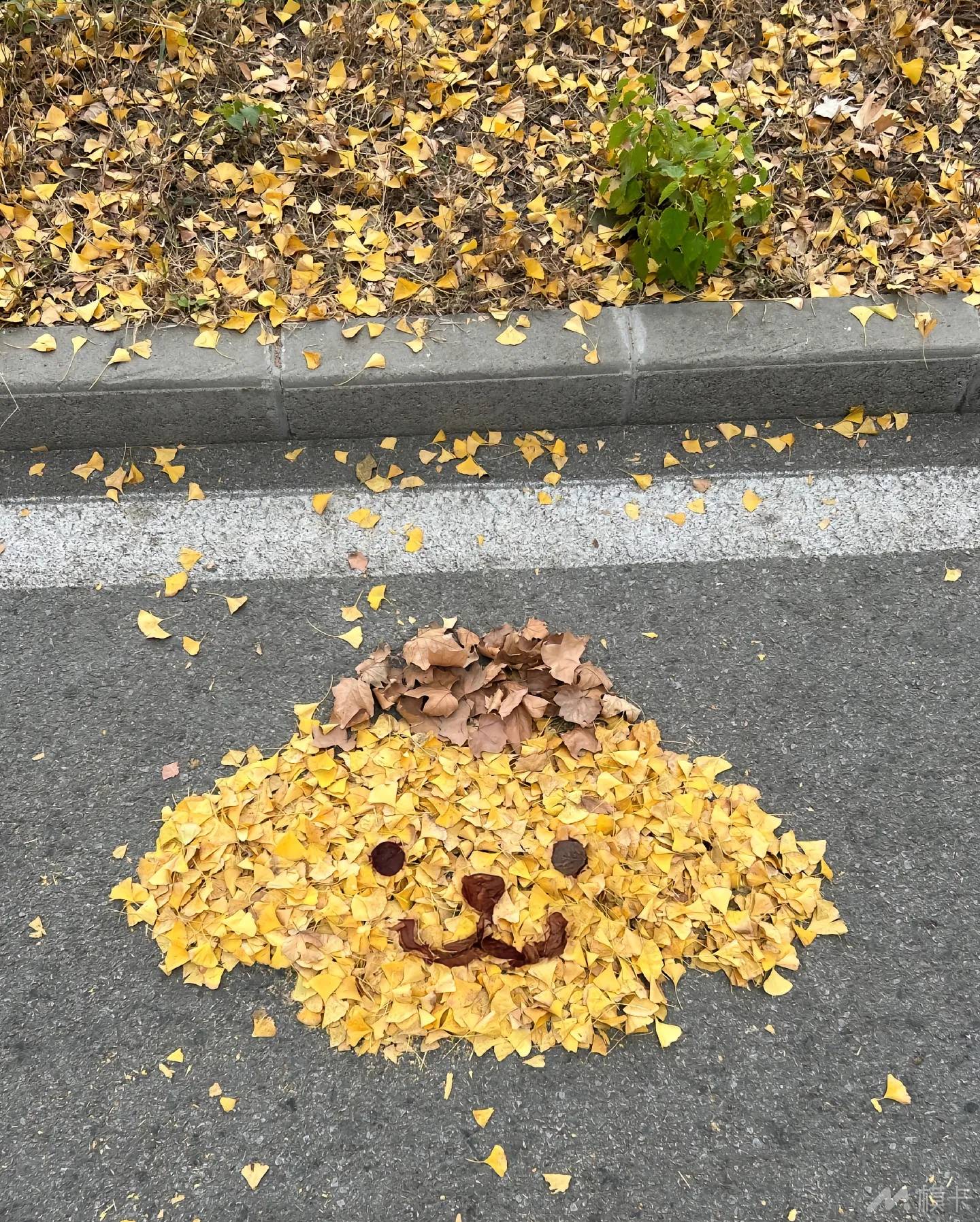 作品图片
