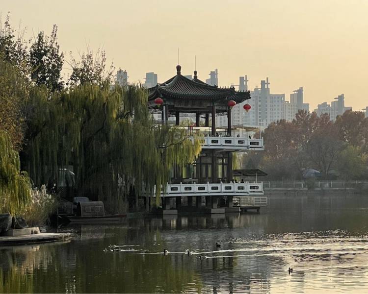 艺人背景图
