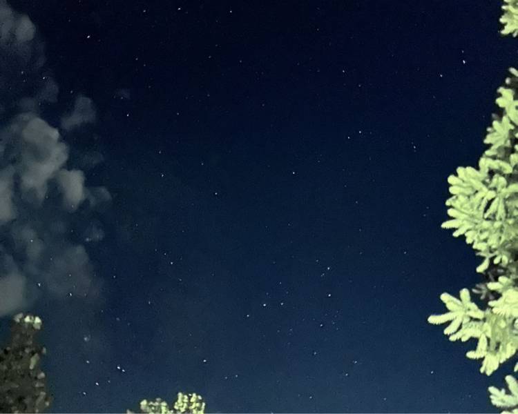 艺人背景图