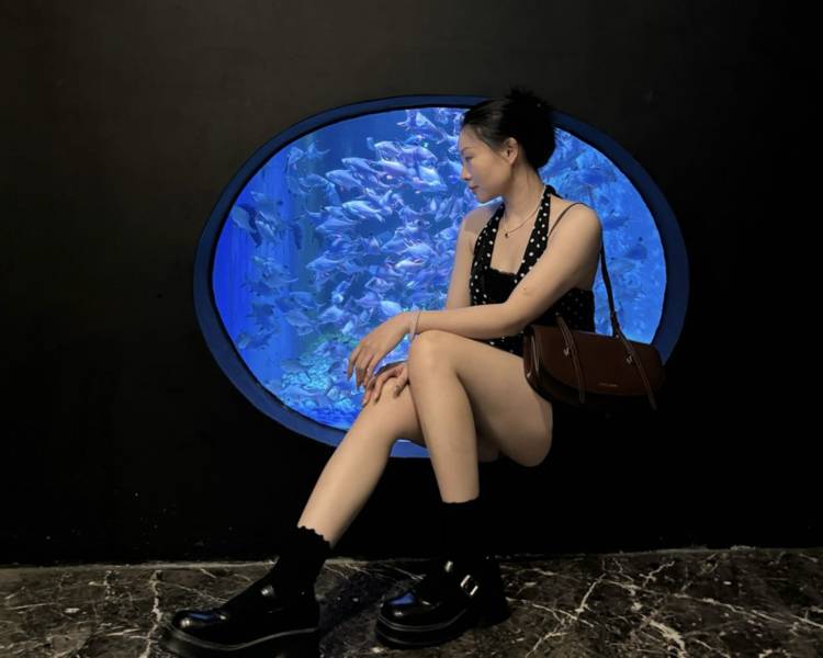 艺人背景图