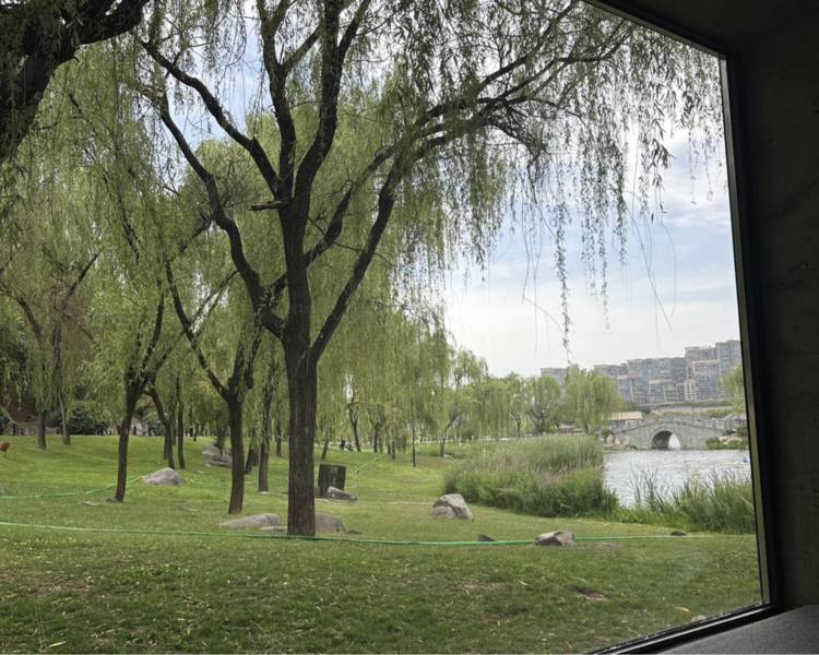 艺人背景图