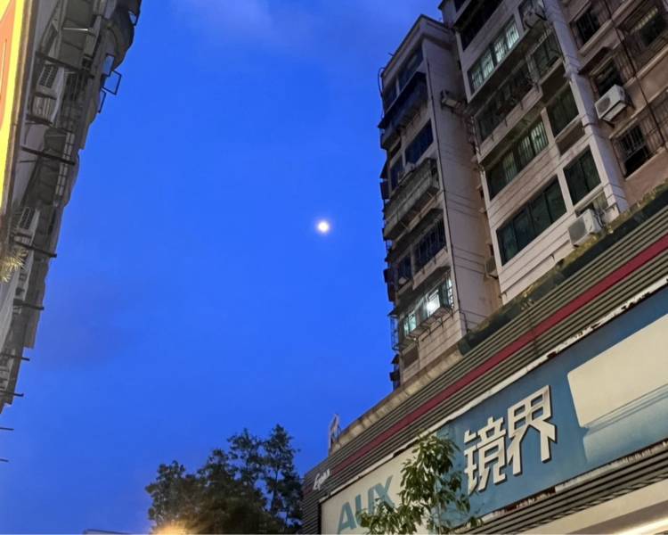 艺人背景图