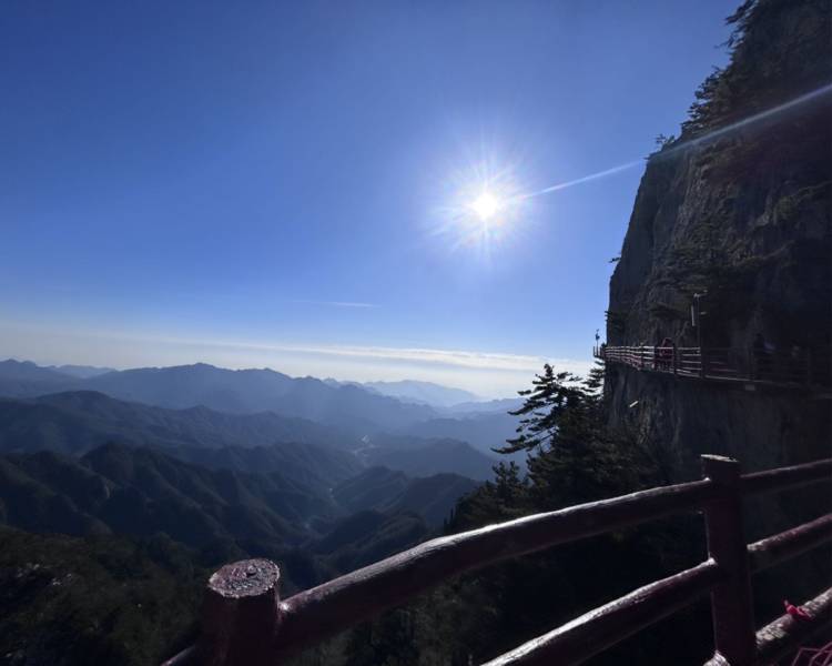 艺人背景图