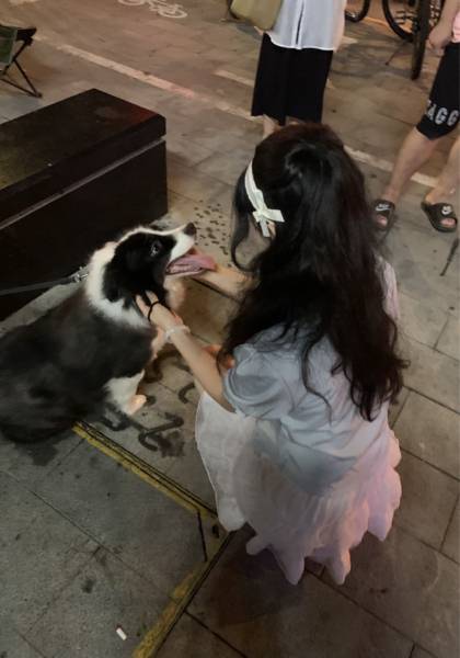 形象照片