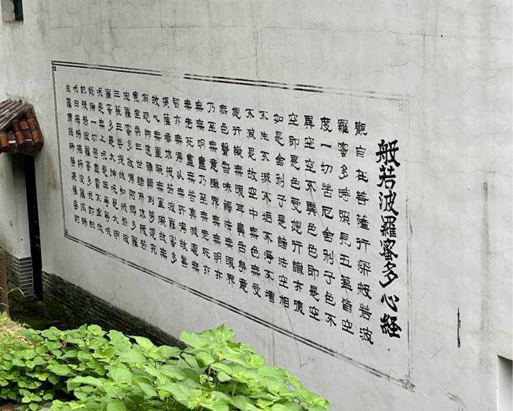 艺人背景图