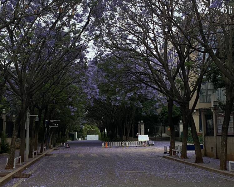 艺人背景图