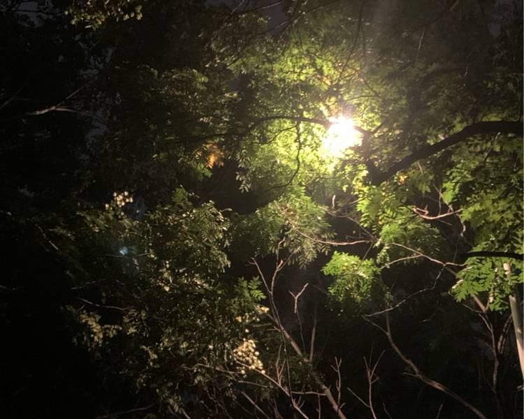 艺人背景图