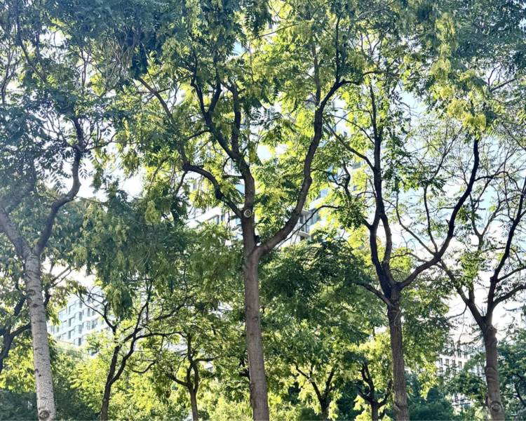 艺人背景图