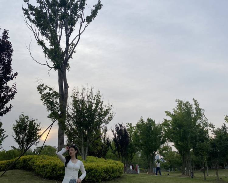 艺人背景图