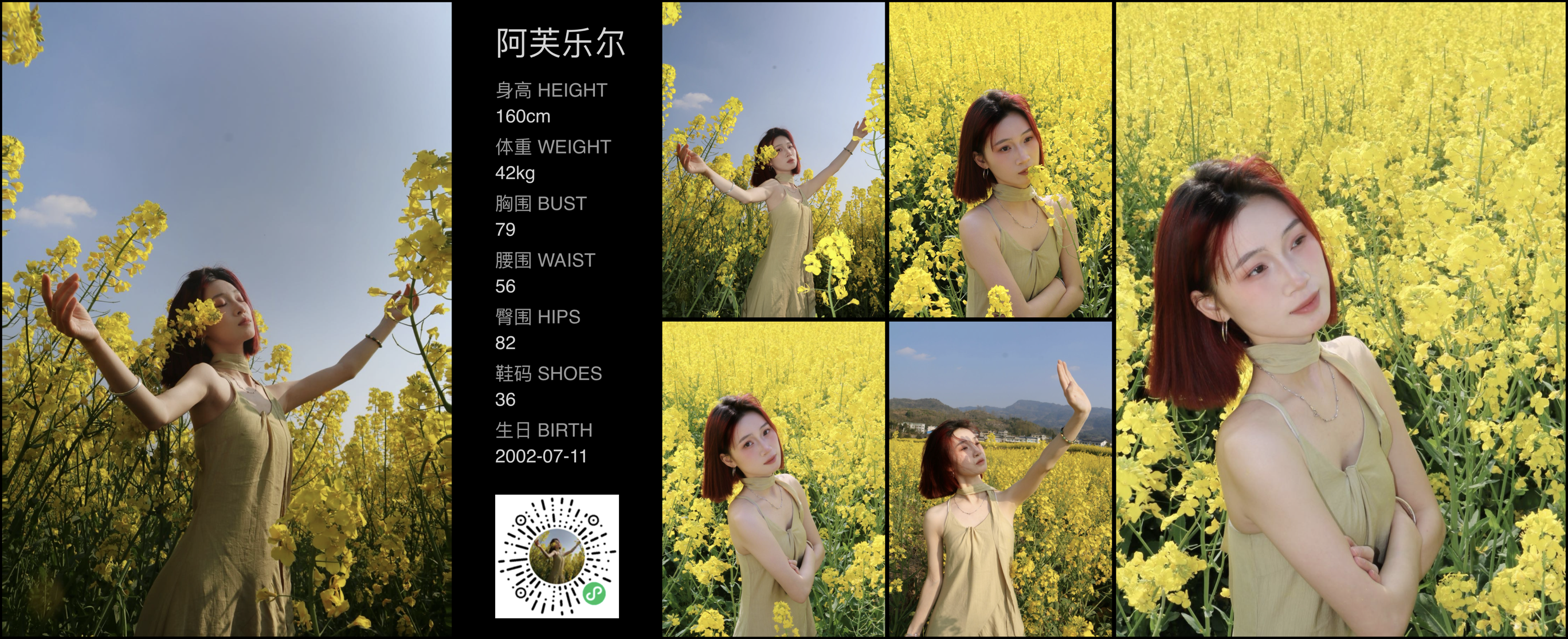 模卡