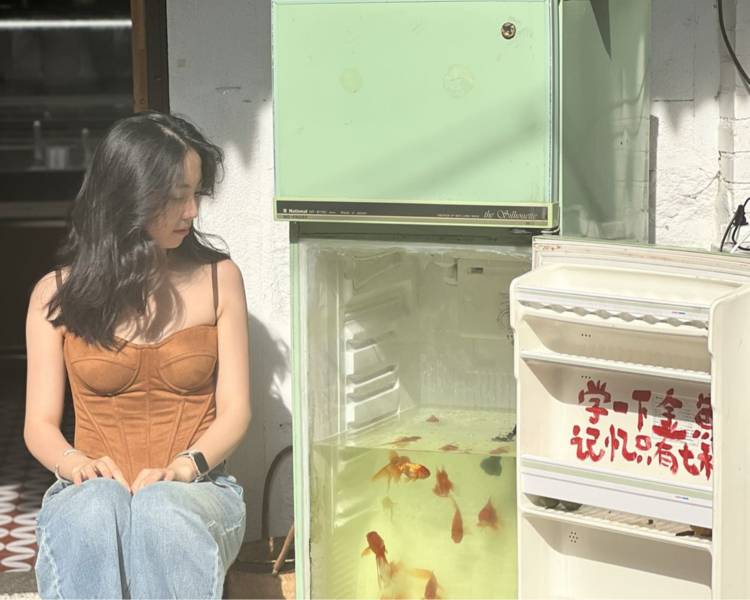 艺人背景图