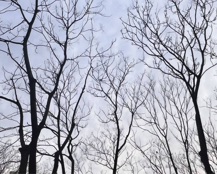 艺人背景图