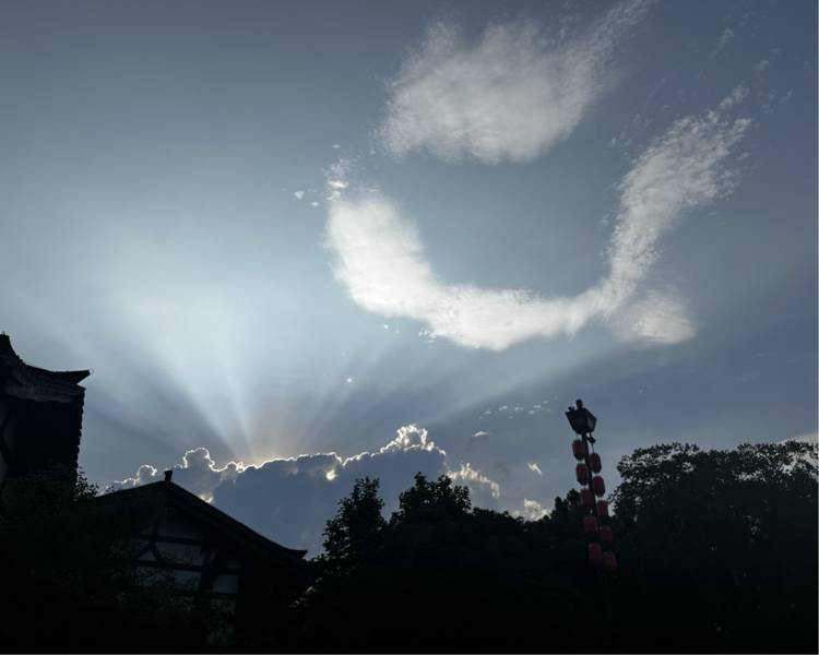 艺人背景图