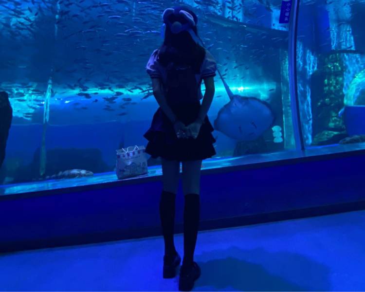 艺人背景图