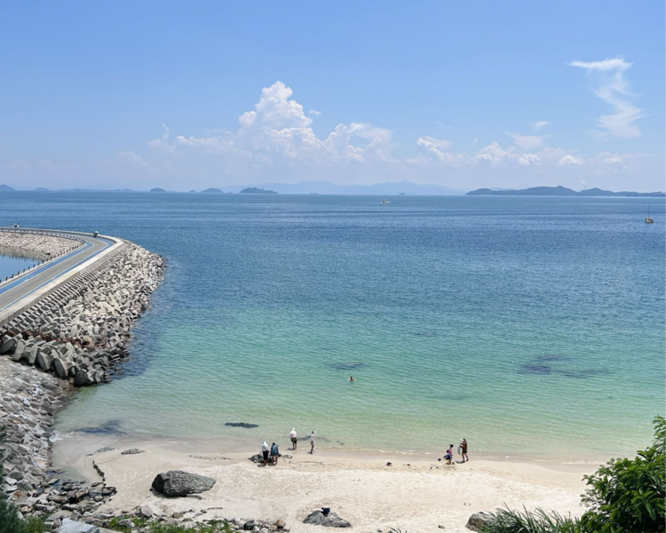 艺人背景图