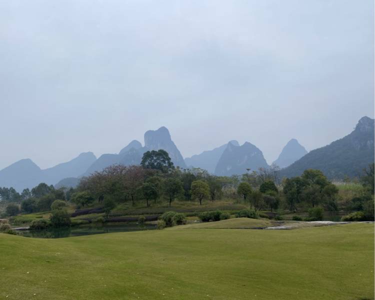 艺人背景图